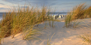 2102 Am Strand bei Kampen - Sylt-Bildergalerie.de