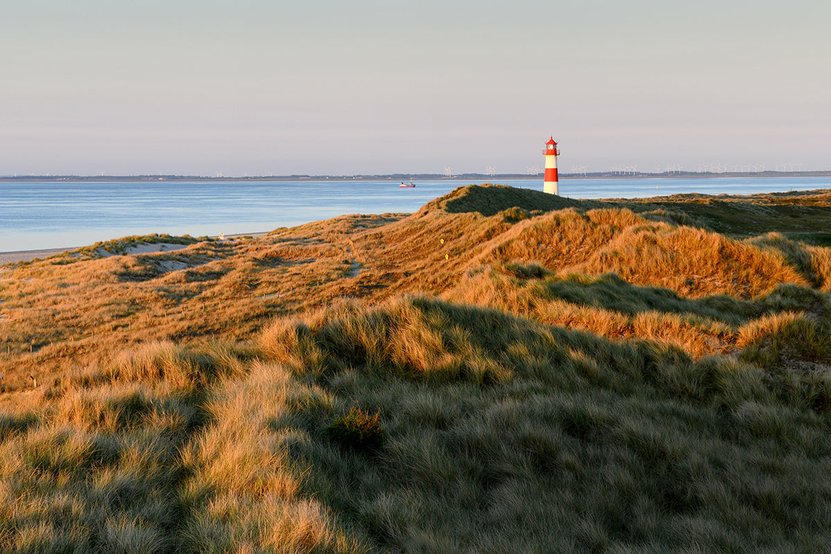 Ein Tag im Leuchtturm: Wimmeliges, großformatiges Nordsee